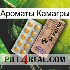 Ароматы Камагры 41